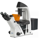 Microscopio invertido KERN OCM 166